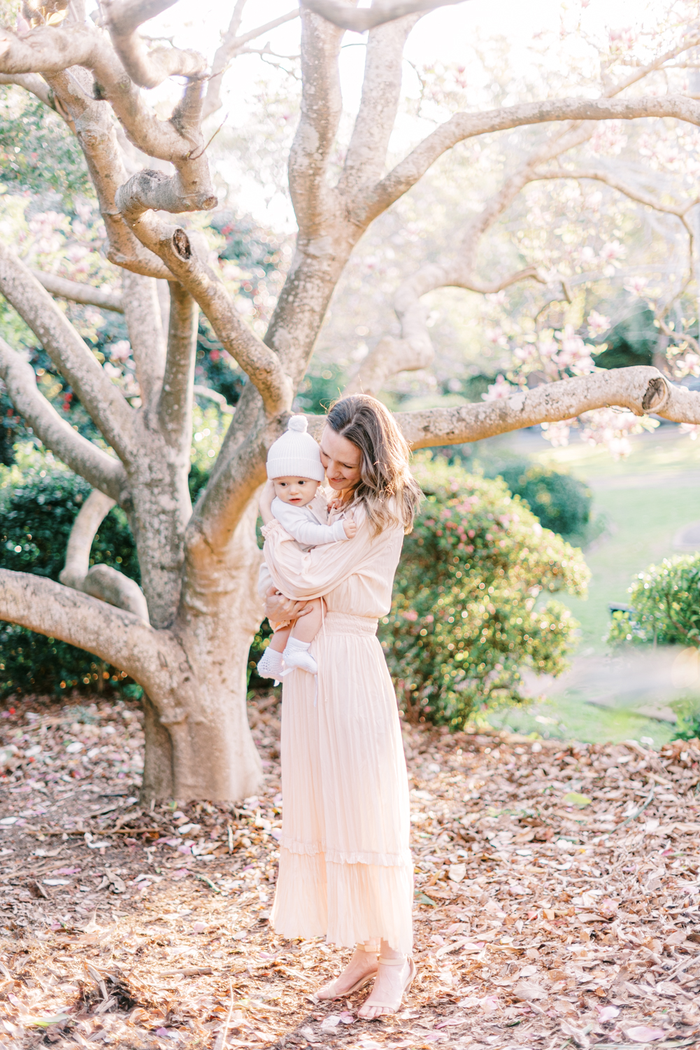 sydney st ives maternity family photography